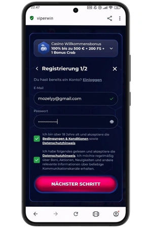 Anleitung zur Anmeldung auf der Viperwin-Website