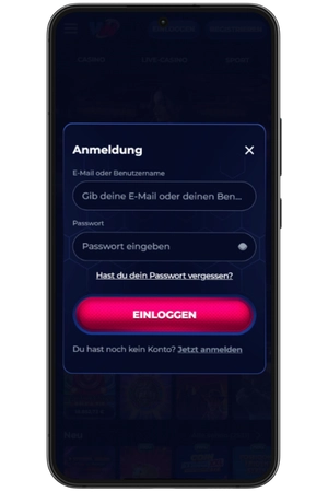 E-Mail und Passwort eingeben bei ViperWin